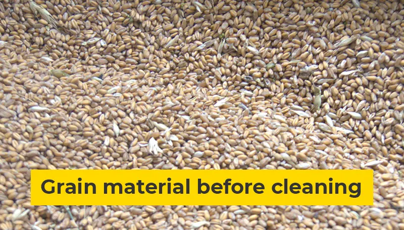 grain material before cleaning