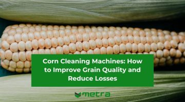 How to Improve Grain Quality and Reduce Losses