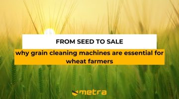 Why Grain Cleaning Machines Are Essential for Wheat Farmers